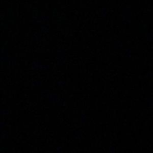 Meet your Posher, Larry